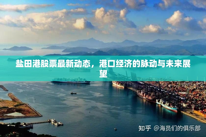 鹽田港股票最新動態(tài)，港口經(jīng)濟的脈動與未來展望