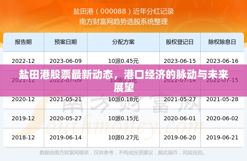 鹽田港股票最新動態(tài)，港口經(jīng)濟的脈動與未來展望