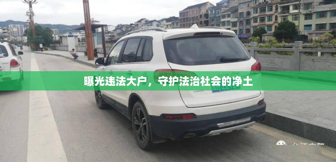 曝光違法大戶，守護法治社會的凈土