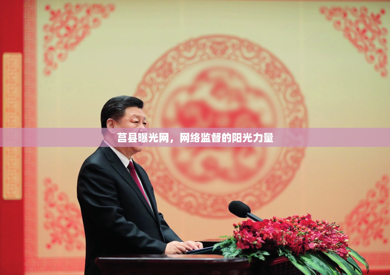 莒縣曝光網(wǎng)，網(wǎng)絡(luò)監(jiān)督的陽光力量