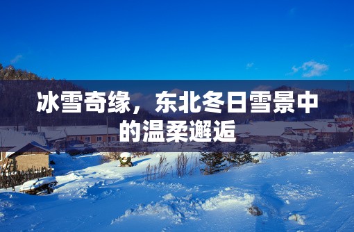 冰雪奇緣，東北冬日雪景中的溫柔邂逅
