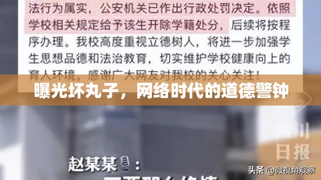 曝光壞丸子，網絡時代的道德警鐘