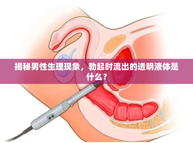 揭秘男性生理現(xiàn)象，勃起時(shí)流出的透明液體是什么？