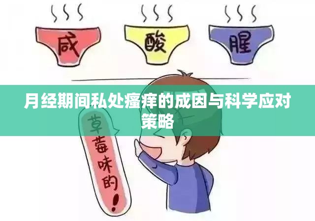 月經(jīng)期間私處瘙癢的成因與科學(xué)應(yīng)對(duì)策略