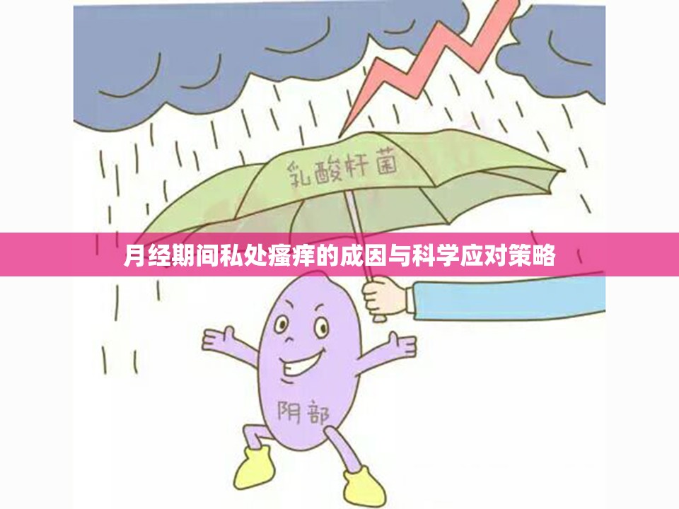 月經(jīng)期間私處瘙癢的成因與科學(xué)應(yīng)對(duì)策略