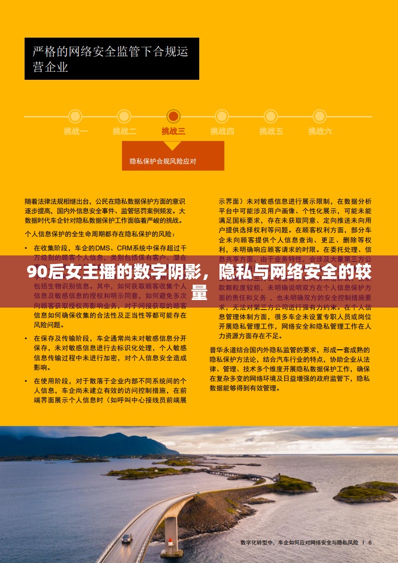 90后女主播的數(shù)字陰影，隱私與網(wǎng)絡(luò)安全的較量