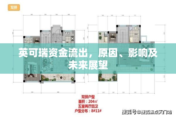 英可瑞資金流出，原因、影響及未來展望