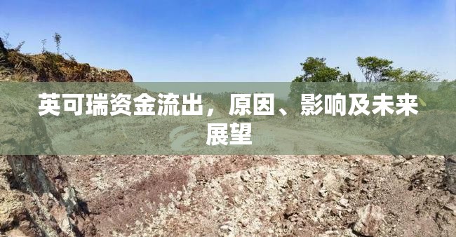 英可瑞資金流出，原因、影響及未來展望
