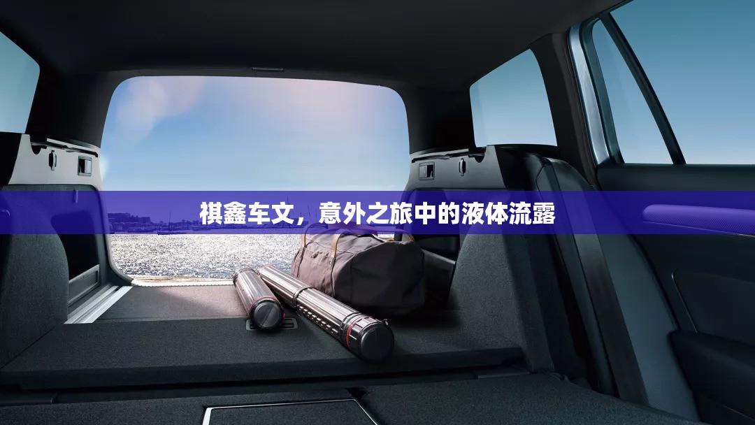 祺鑫車文，意外之旅中的液體流露