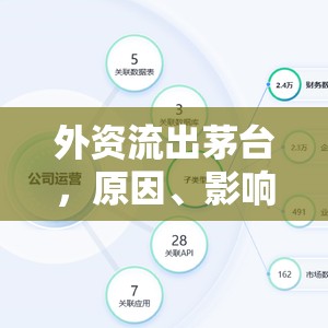 外資流出茅臺(tái)，原因、影響與未來(lái)展望