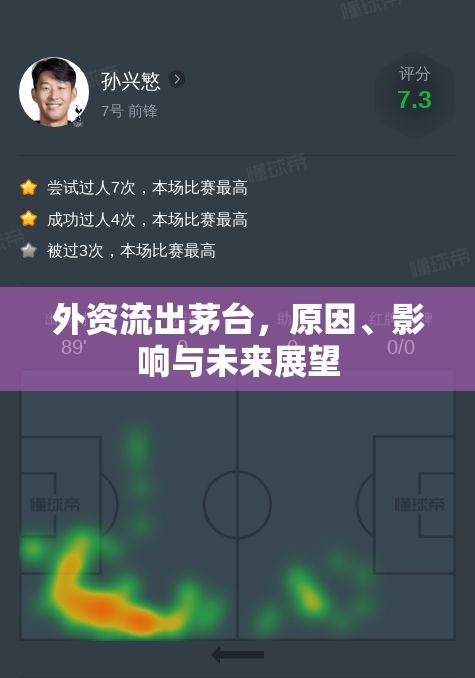 外資流出茅臺(tái)，原因、影響與未來(lái)展望