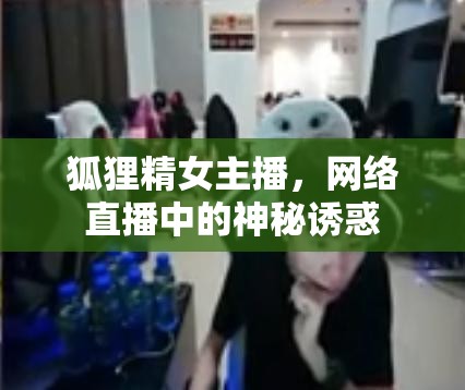狐貍精女主播，網(wǎng)絡(luò)直播中的神秘誘惑