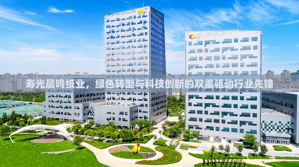 壽光晨鳴紙業(yè)，綠色轉型與科技創(chuàng)新的雙重驅動行業(yè)先鋒