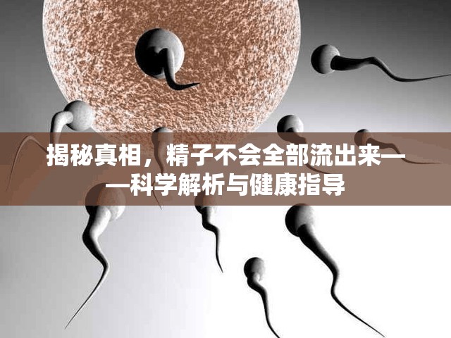 揭秘真相，精子不會全部流出來——科學(xué)解析與健康指導(dǎo)