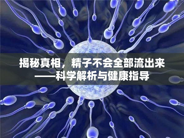 揭秘真相，精子不會全部流出來——科學(xué)解析與健康指導(dǎo)