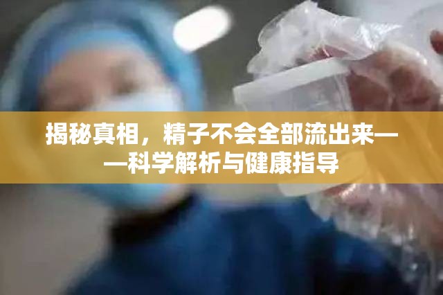 揭秘真相，精子不會全部流出來——科學(xué)解析與健康指導(dǎo)