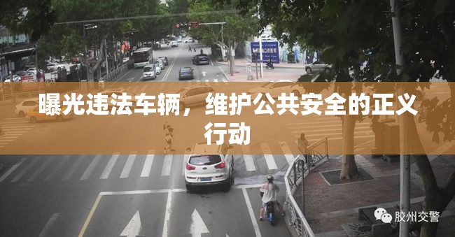曝光違法車輛，維護(hù)公共安全的正義行動(dòng)