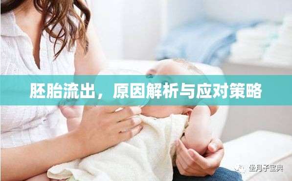胚胎流出，原因解析與應(yīng)對(duì)策略