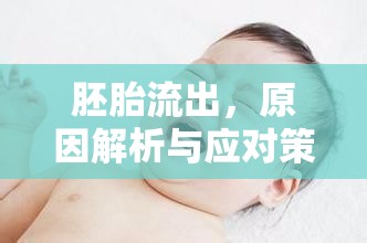 胚胎流出，原因解析與應(yīng)對(duì)策略