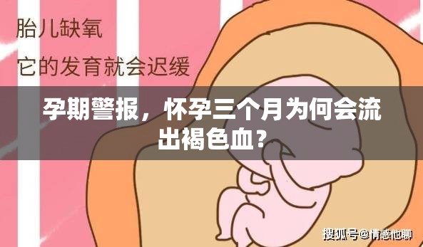 孕期警報(bào)，懷孕三個(gè)月為何會(huì)流出褐色血？