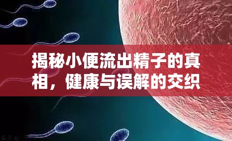 揭秘小便流出精子的真相，健康與誤解的交織