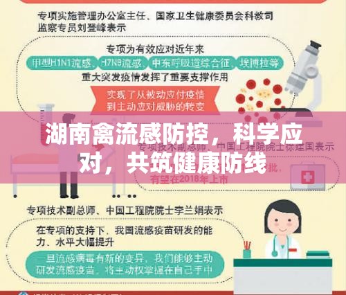 湖南禽流感防控，科學應(yīng)對，共筑健康防線