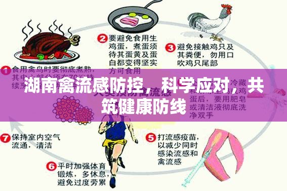 湖南禽流感防控，科學應(yīng)對，共筑健康防線