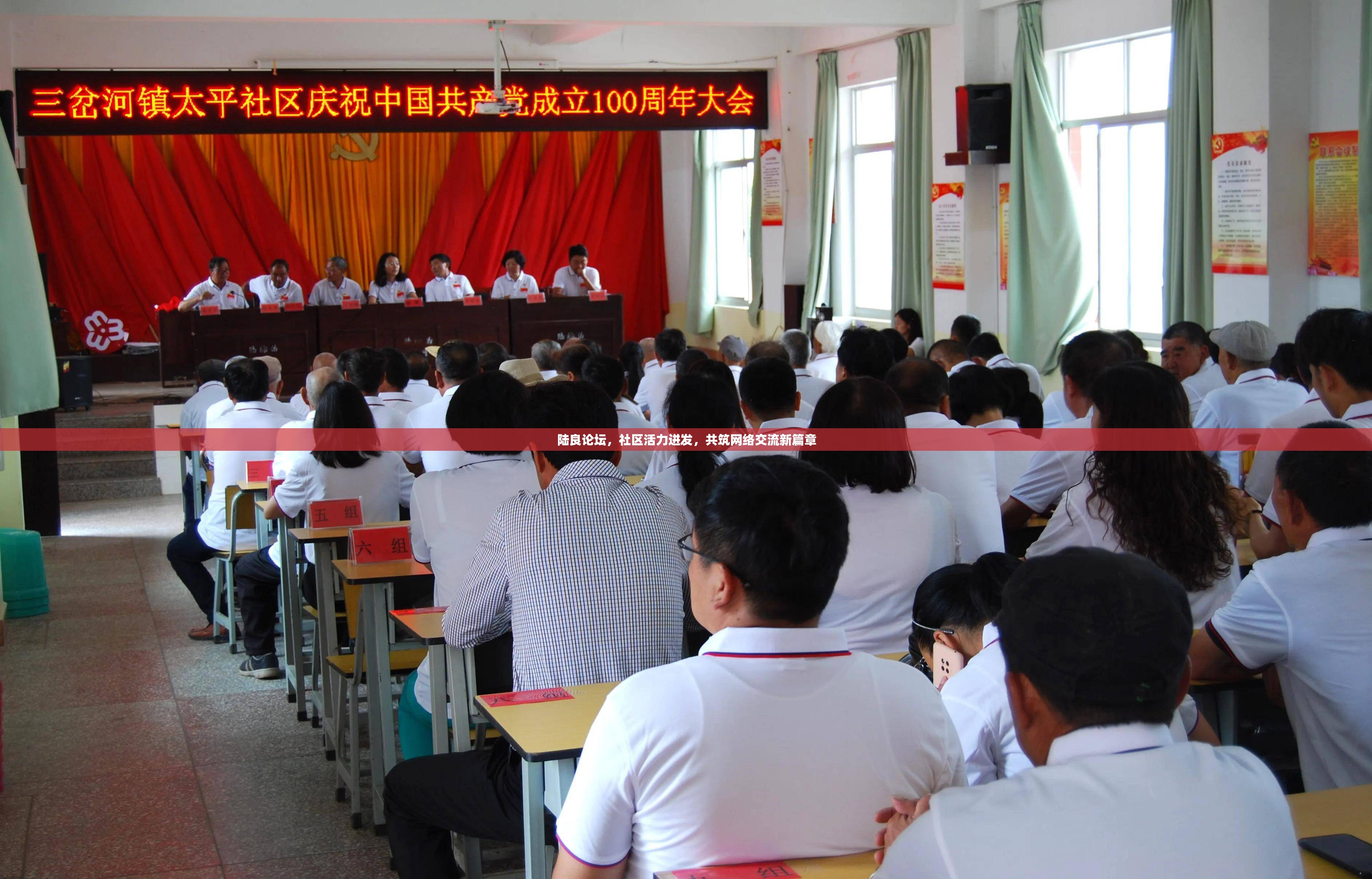 陸良論壇，社區(qū)活力迸發(fā)，共筑網(wǎng)絡交流新篇章