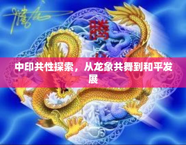 中印共性探索，從龍象共舞到和平發(fā)展