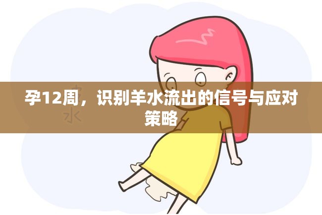 孕12周，識(shí)別羊水流出的信號(hào)與應(yīng)對(duì)策略