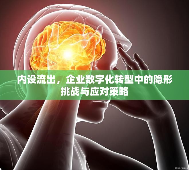 內(nèi)設(shè)流出，企業(yè)數(shù)字化轉(zhuǎn)型中的隱形挑戰(zhàn)與應(yīng)對策略