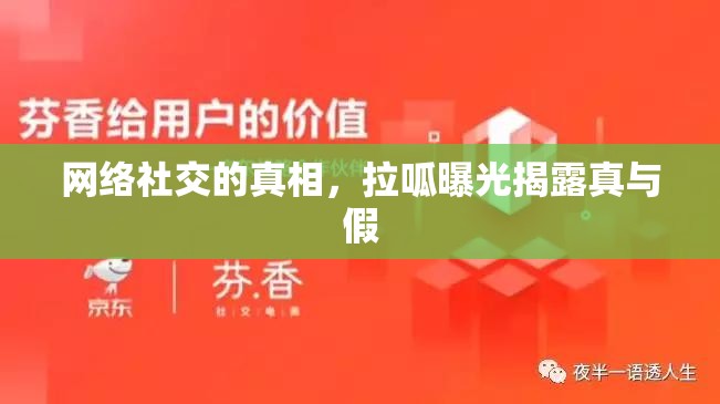 網(wǎng)絡(luò)社交的真相，拉呱曝光揭露真與假