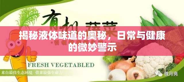 揭秘液體味道的奧秘，日常與健康的微妙警示