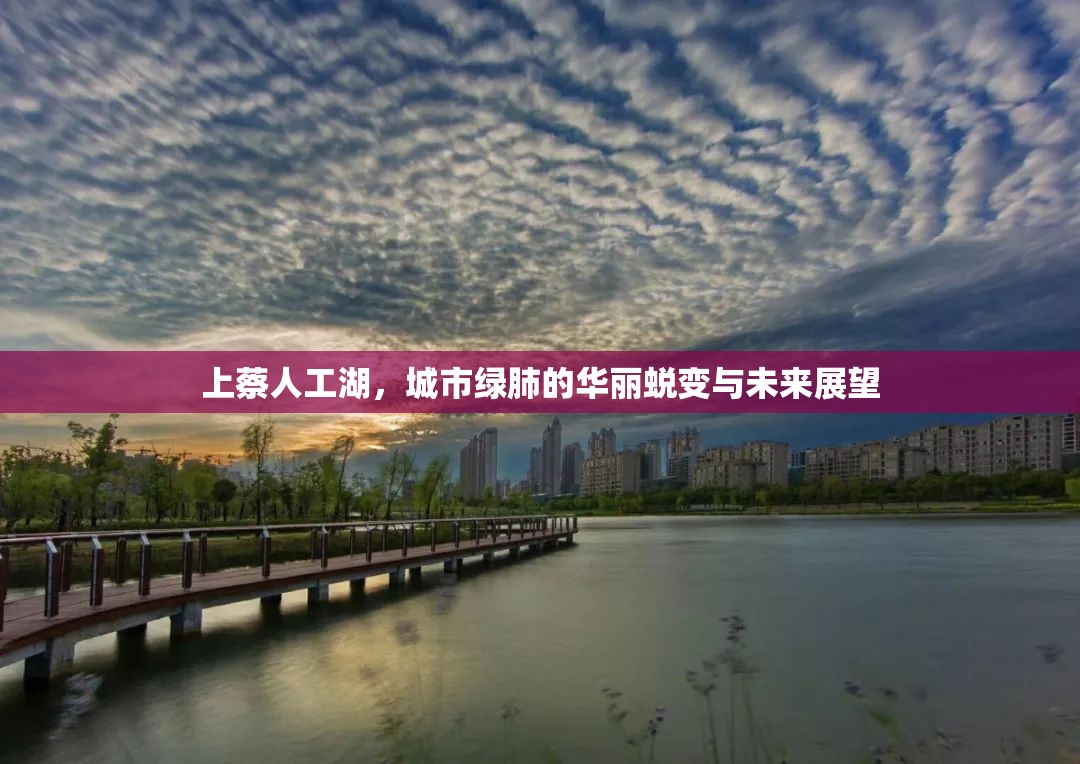 上蔡人工湖，城市綠肺的華麗蛻變與未來(lái)展望