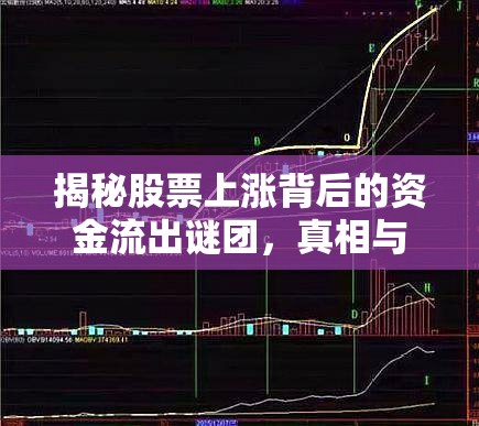 揭秘股票上漲背后的資金流出謎團，真相與解讀