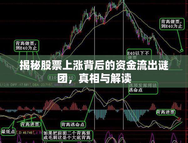 揭秘股票上漲背后的資金流出謎團，真相與解讀