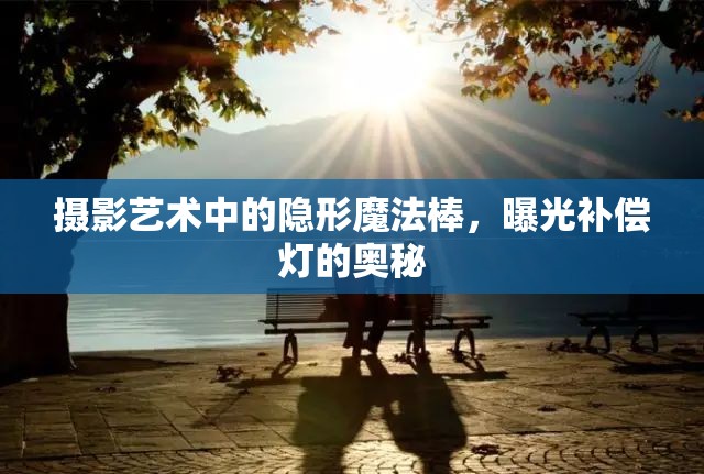 攝影藝術中的隱形魔法棒，曝光補償燈的奧秘