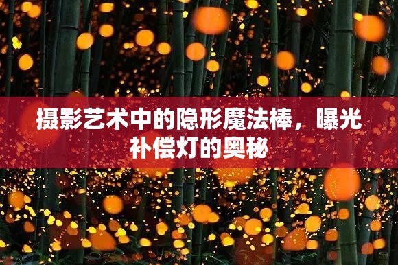 攝影藝術中的隱形魔法棒，曝光補償燈的奧秘