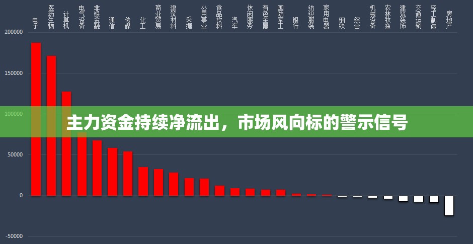 主力資金持續(xù)凈流出，市場(chǎng)風(fēng)向標(biāo)的警示信號(hào)