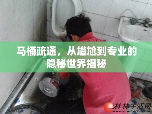 馬桶疏通，從尷尬到專業(yè)的隱秘世界揭秘