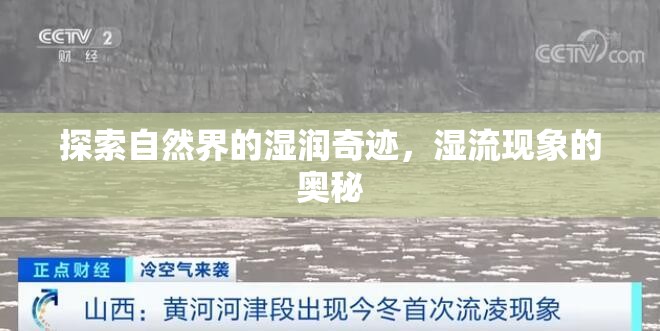 探索自然界的濕潤(rùn)奇跡，濕流現(xiàn)象的奧秘