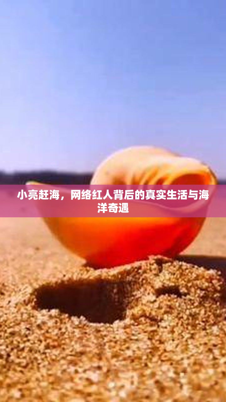 小亮趕海，網(wǎng)絡(luò)紅人背后的真實生活與海洋奇遇