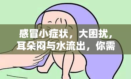 感冒小癥狀，大困擾，耳朵悶與水流出，你需要了解的細節(jié)