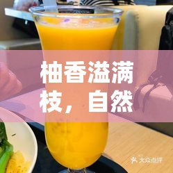 柚香溢滿枝，自然甘露與時光饋贈的奇跡