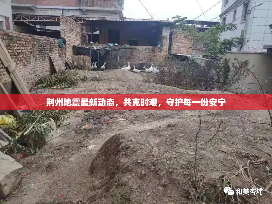 荊州地震最新動(dòng)態(tài)，共克時(shí)艱，守護(hù)每一份安寧