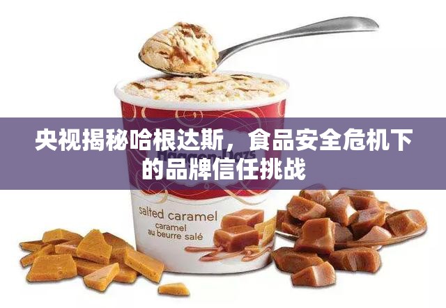 央視揭秘哈根達斯，食品安全危機下的品牌信任挑戰(zhàn)