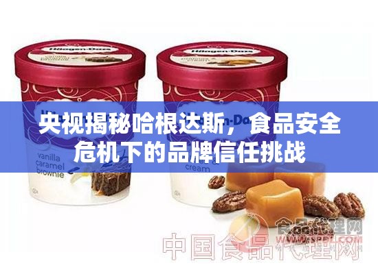 央視揭秘哈根達斯，食品安全危機下的品牌信任挑戰(zhàn)