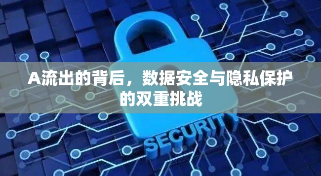 A流出的背后，數(shù)據(jù)安全與隱私保護(hù)的雙重挑戰(zhàn)