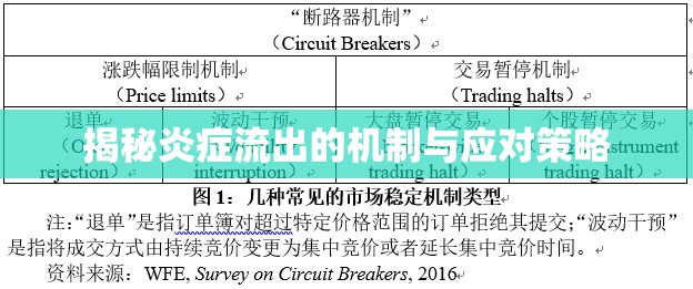 揭秘炎癥流出的機(jī)制與應(yīng)對(duì)策略