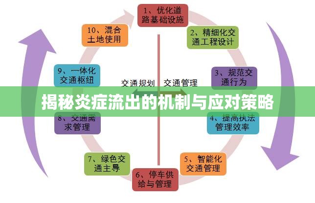 揭秘炎癥流出的機(jī)制與應(yīng)對(duì)策略